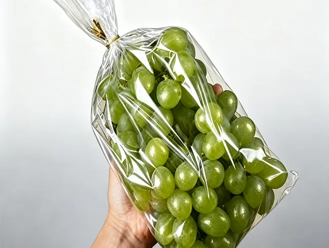 La película antivaho bopp potencia el envasado de alimentos frescos y resuelve los desafíos clave de conservación de frutas y verduras.